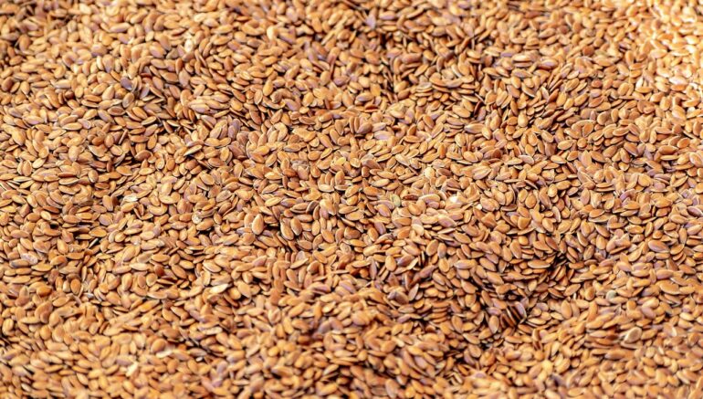 How to Choose the Right Seeds for Maximum Yield — A Complete Guide