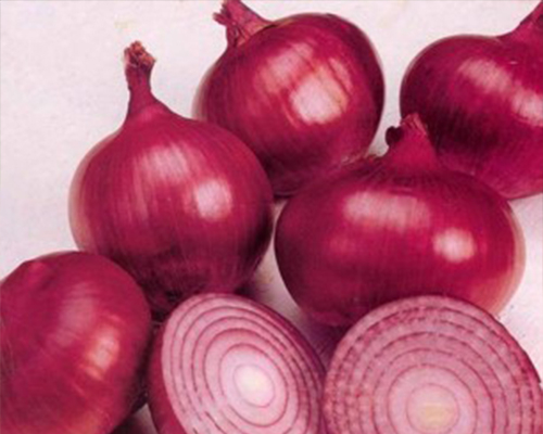 Onion